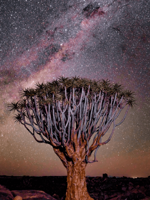 belen-puerta-tribe-safari-adventureafrica-viajes-de-autor (1)