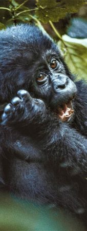 safaris-africa-tribe-safari-adventure-crea-tu-safari-serengeti-gran-migracion-18
